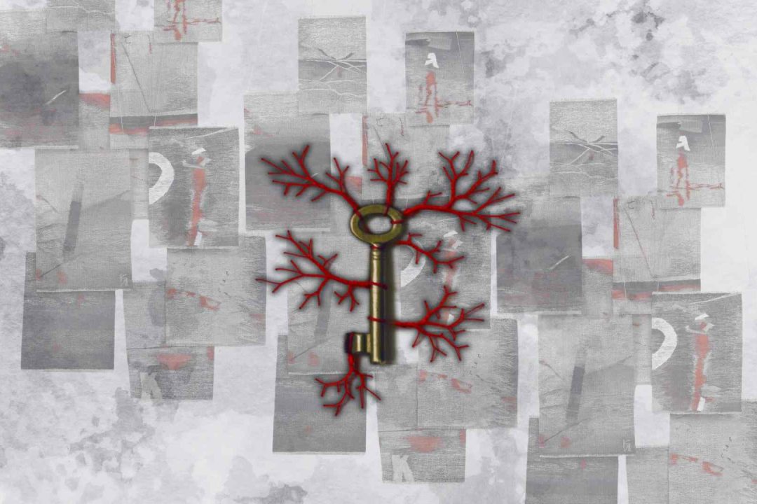 9.cover-web-Living Memory 1920 x 1080